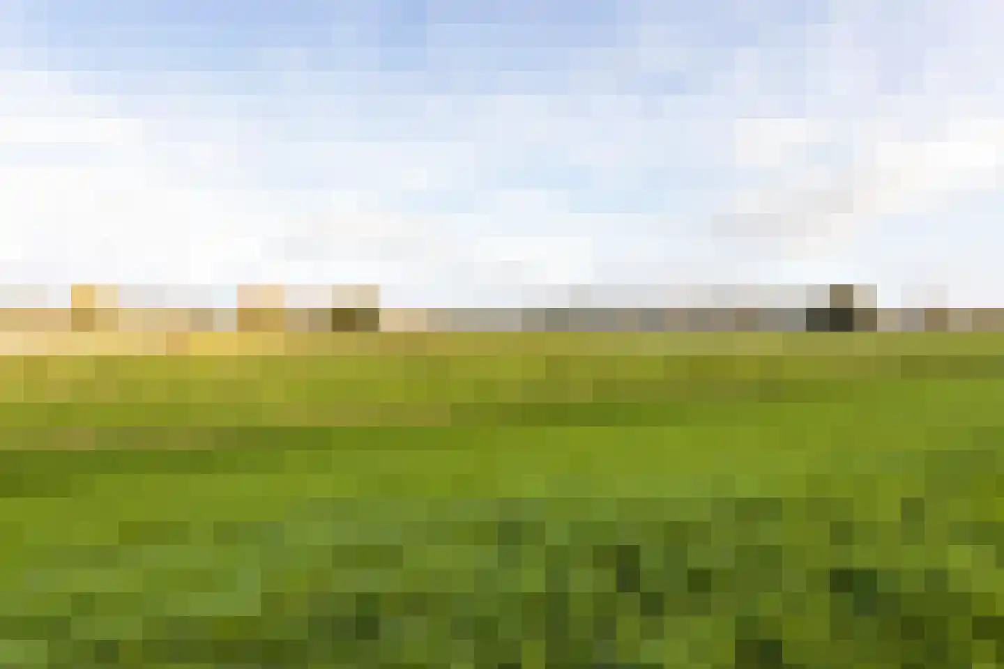 Zilverkruid 19 's-Hertogenbosch thumbnail 43