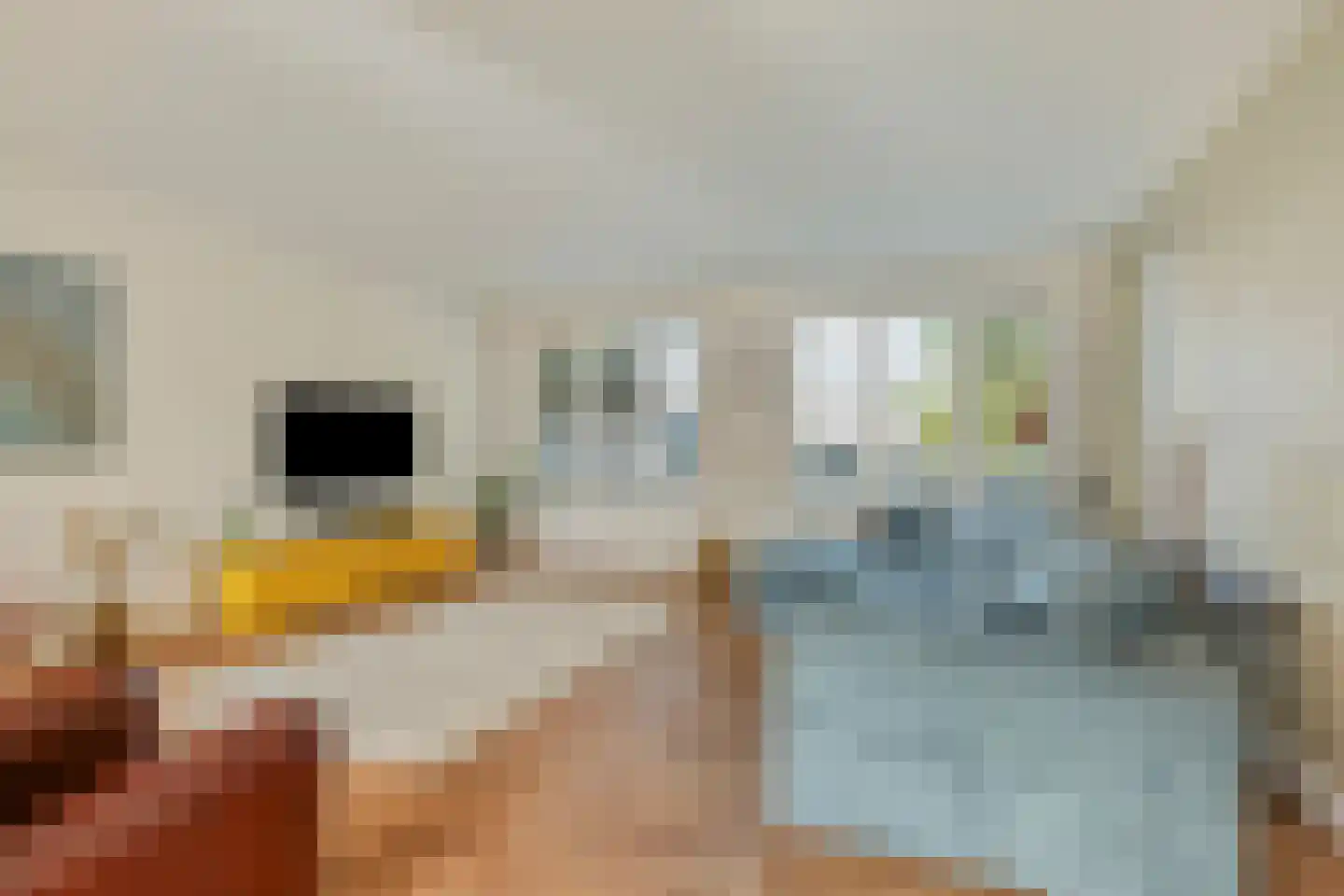 Zilverkruid 19 's-Hertogenbosch thumbnail 7