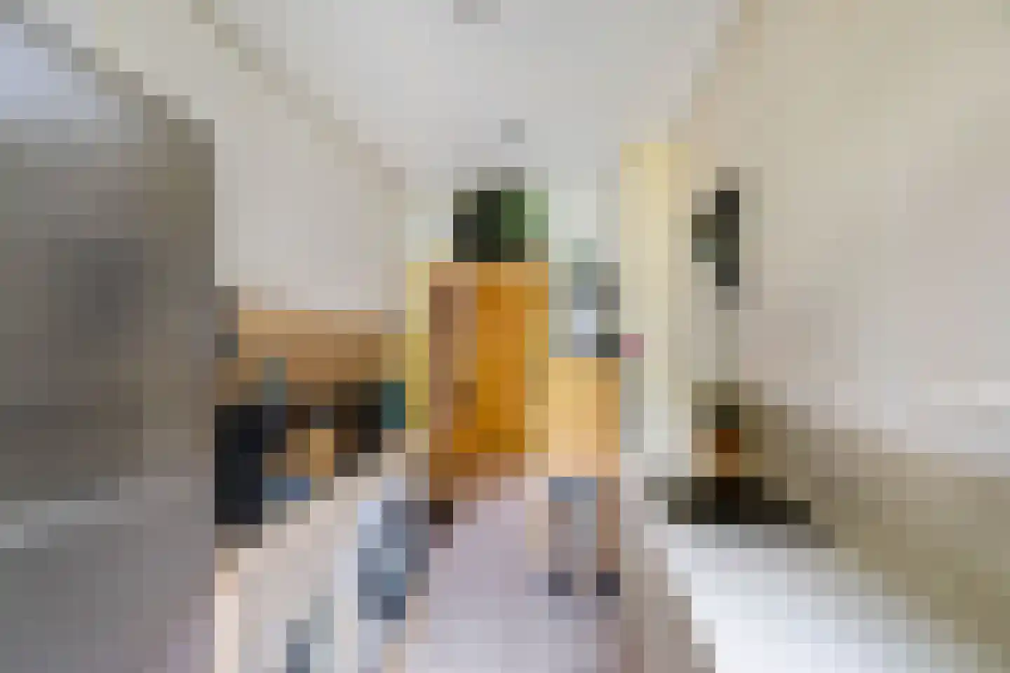 Zilverlaan 14 Groningen thumbnail 17
