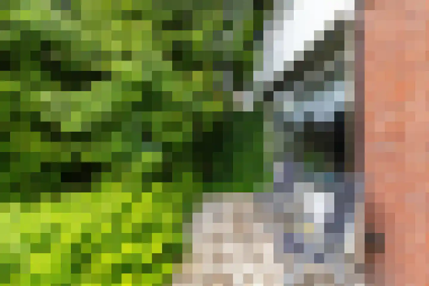 Zilverlaan 14 Groningen thumbnail 19