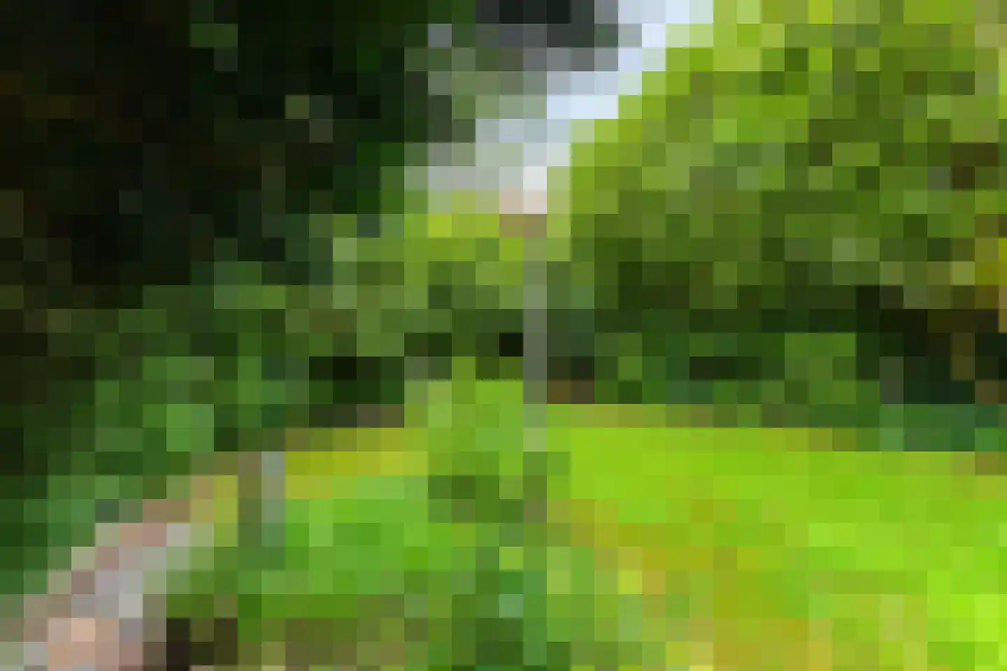 Zilverlaan 14 Groningen thumbnail 21