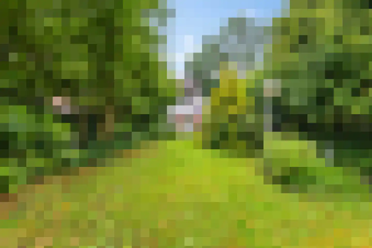 Zilverlaan 14 Groningen thumbnail 22