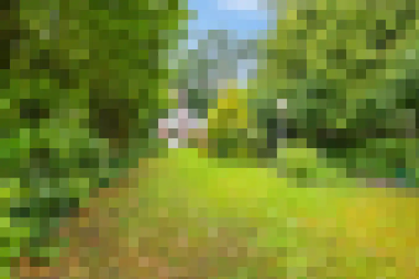 Zilverlaan 14 Groningen thumbnail 23