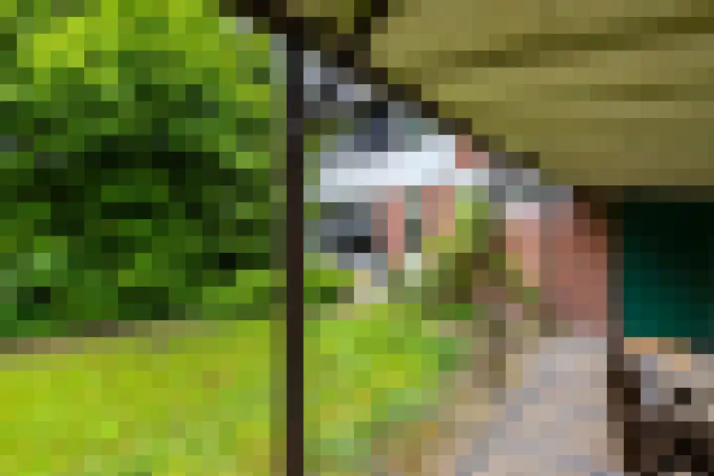 Zilverlaan 14 Groningen thumbnail 24