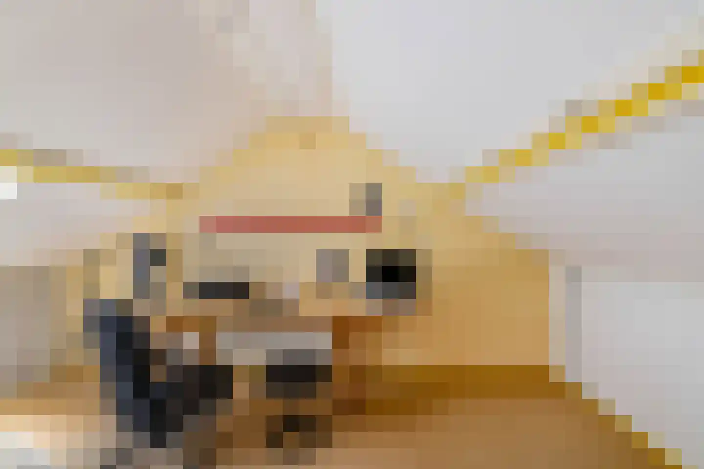 Zilverlaan 14 Groningen thumbnail 37