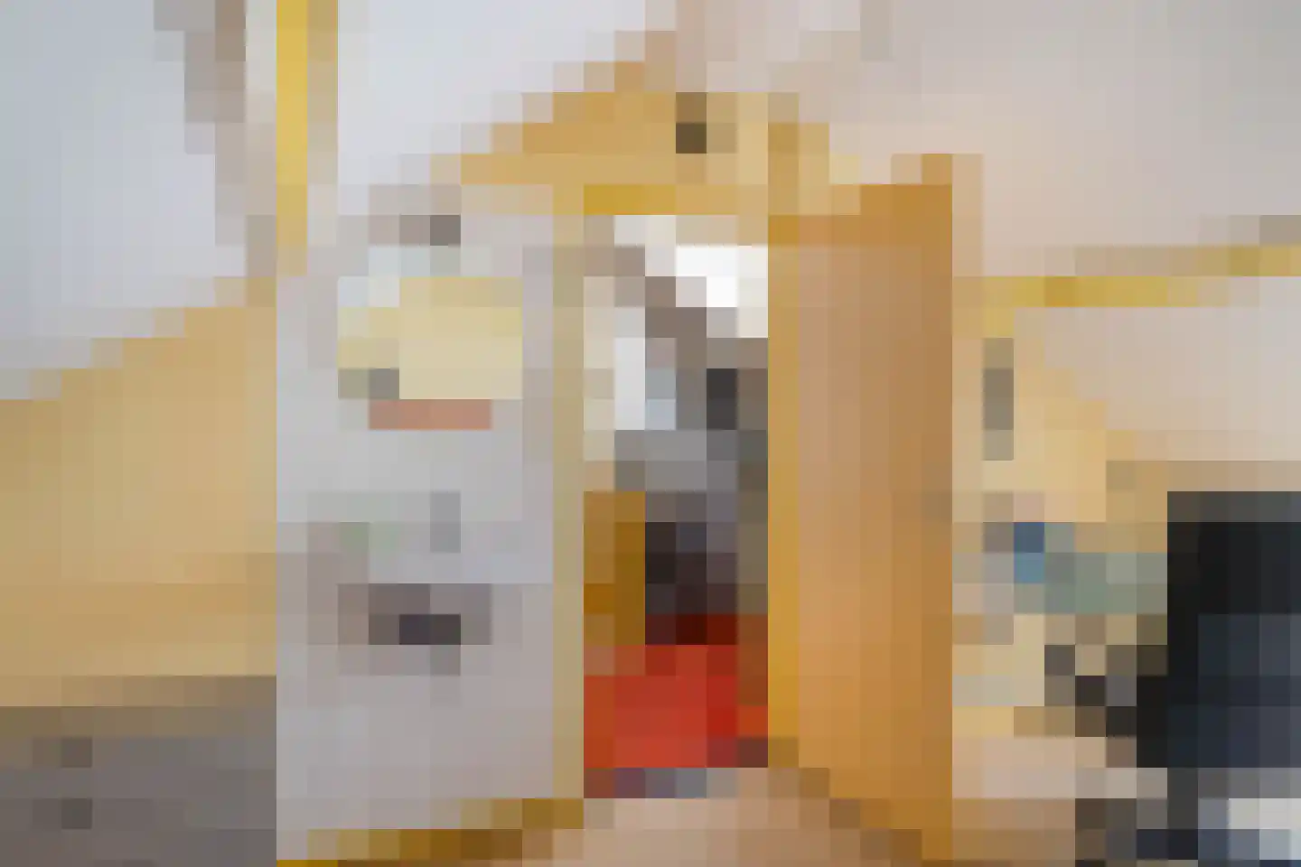 Zilverlaan 14 Groningen thumbnail 40