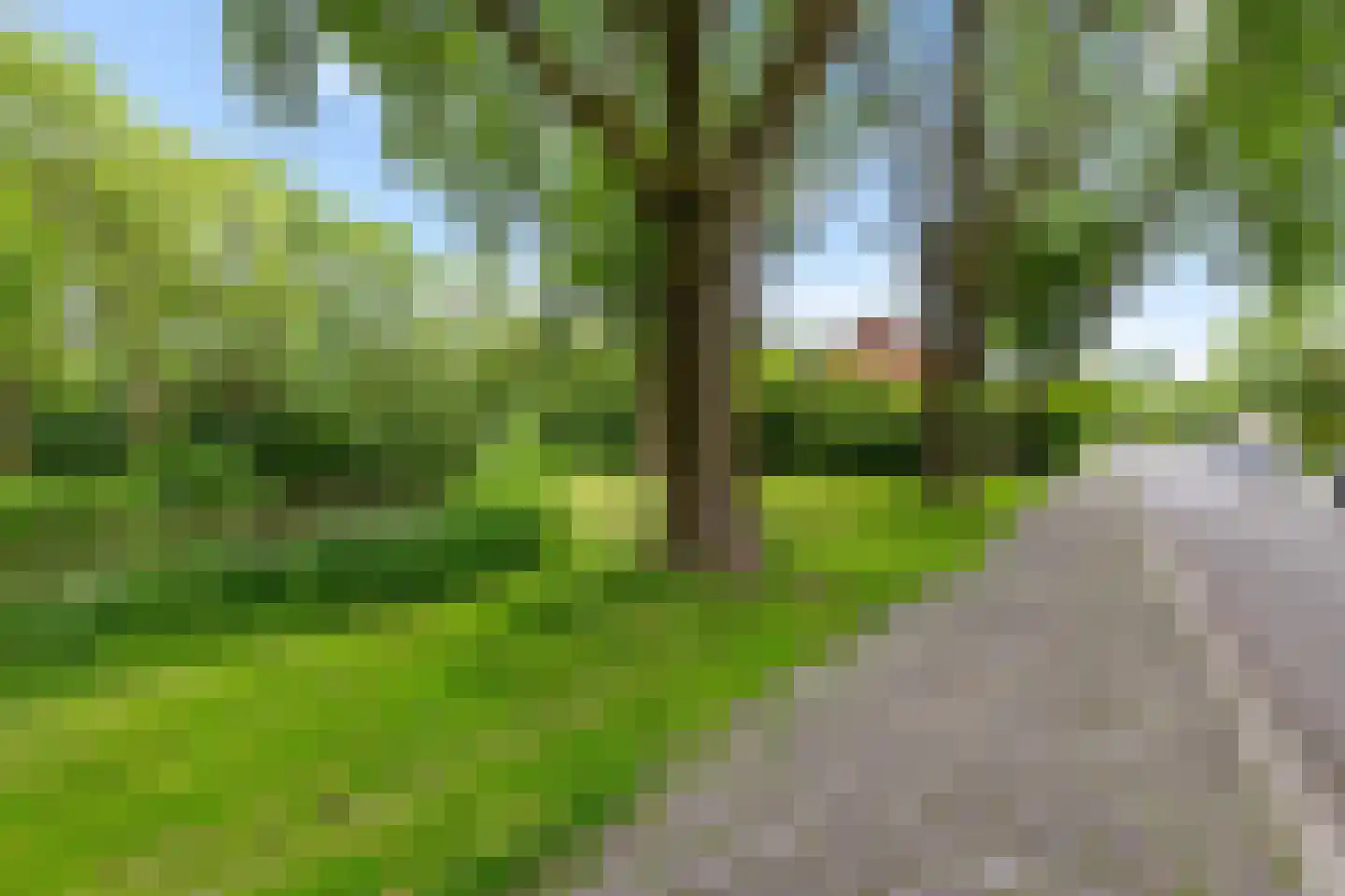 Zilverlaan 14 Groningen thumbnail 44