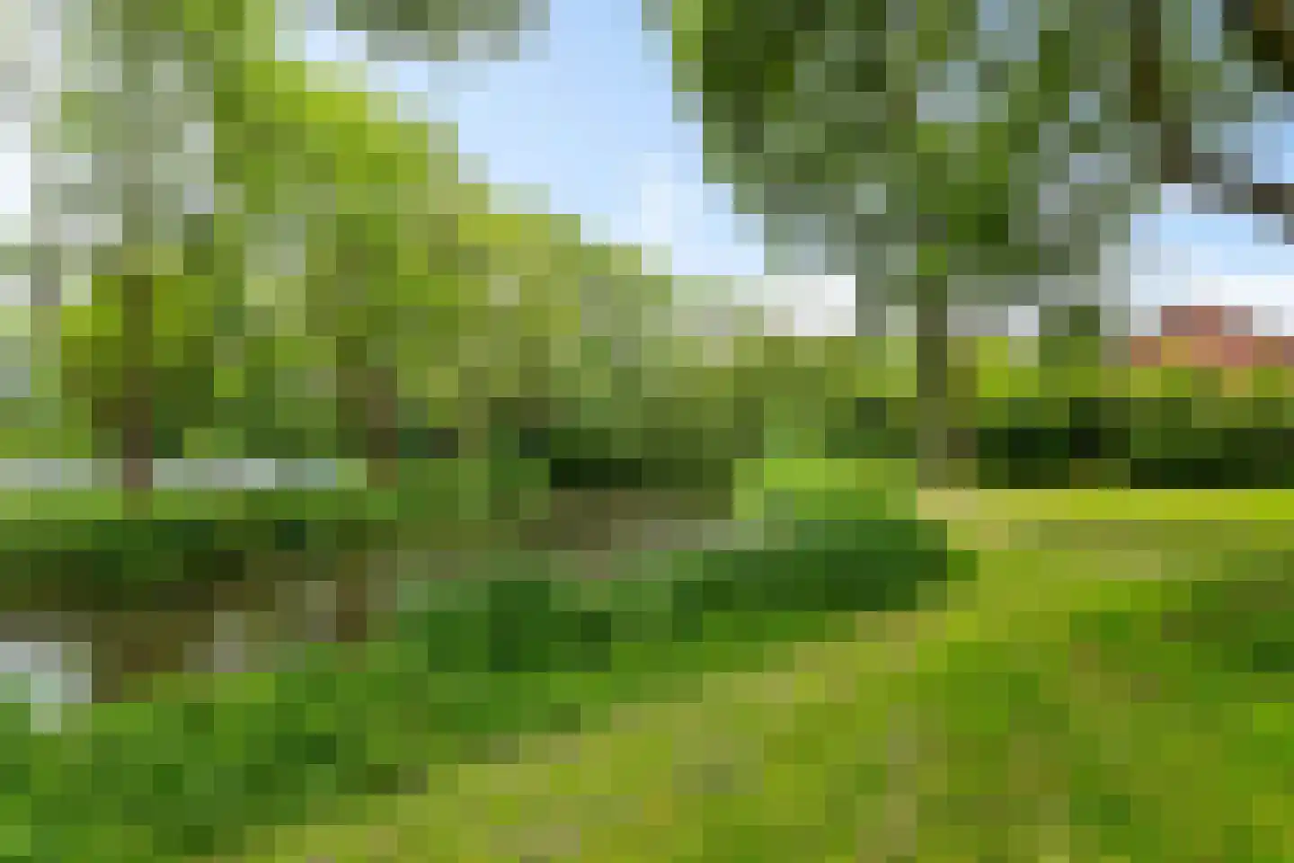 Zilverlaan 14 Groningen thumbnail 45