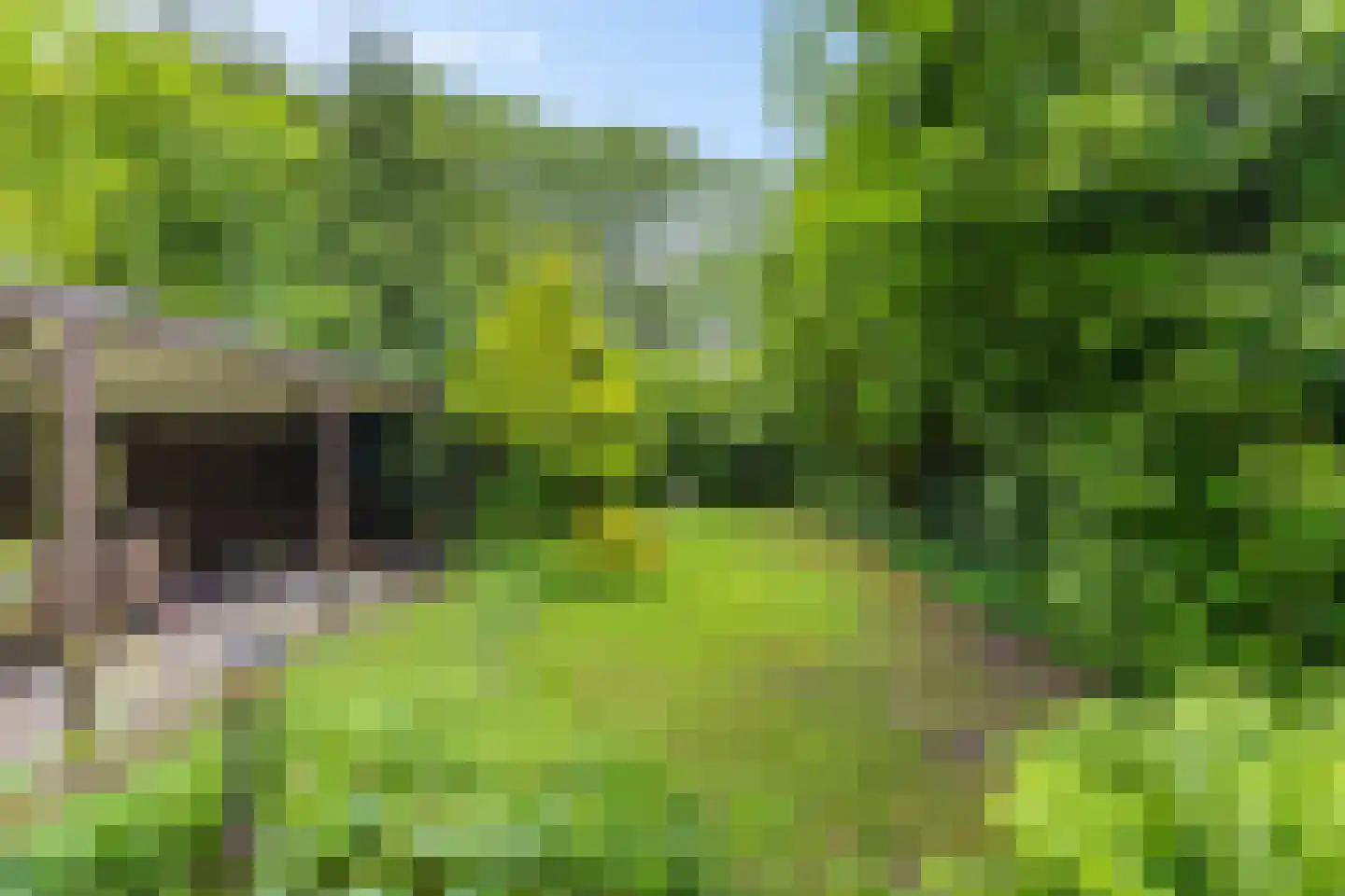Zilverlaan 14 Groningen thumbnail 5