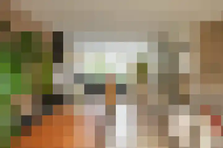 Zilverlaan 50 Groningen thumbnail 15