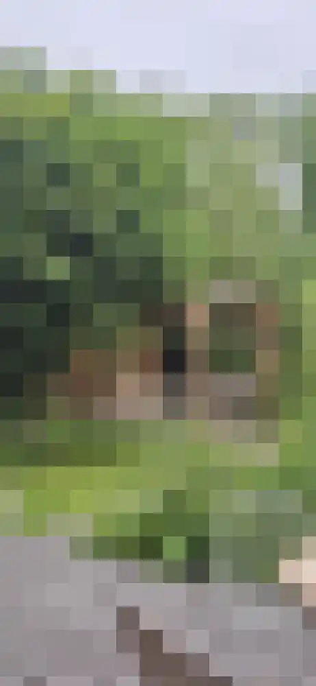 Zilverlaan 50 Groningen thumbnail 21