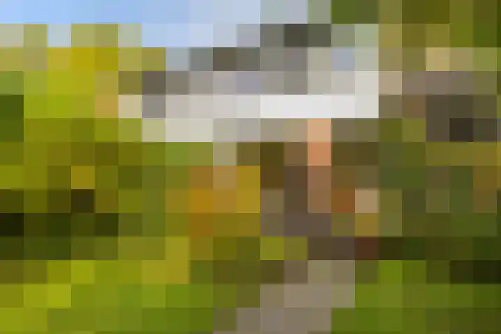 Zilverlaan 50 Groningen thumbnail 22