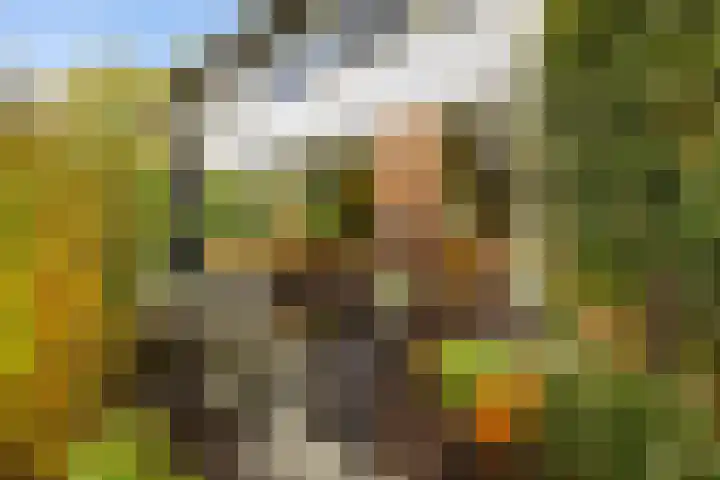 Zilverlaan 50 Groningen thumbnail 23