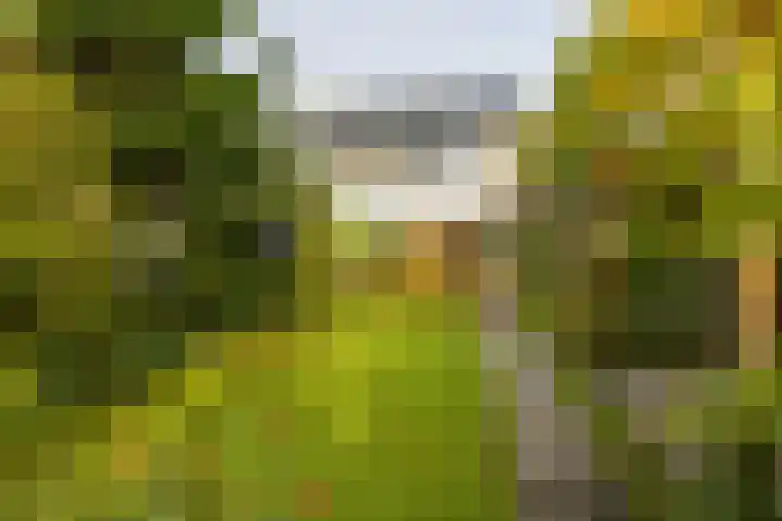 Zilverlaan 50 Groningen thumbnail 24