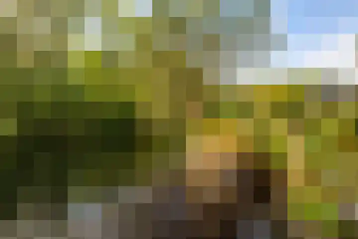 Zilverlaan 50 Groningen thumbnail 25