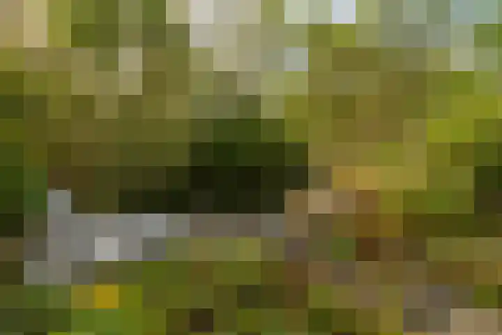 Zilverlaan 50 Groningen thumbnail 26