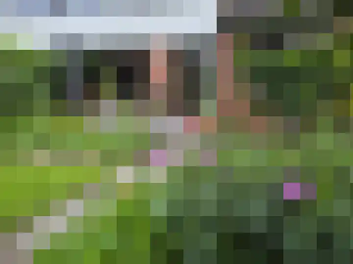 Zilverlaan 50 Groningen thumbnail 27