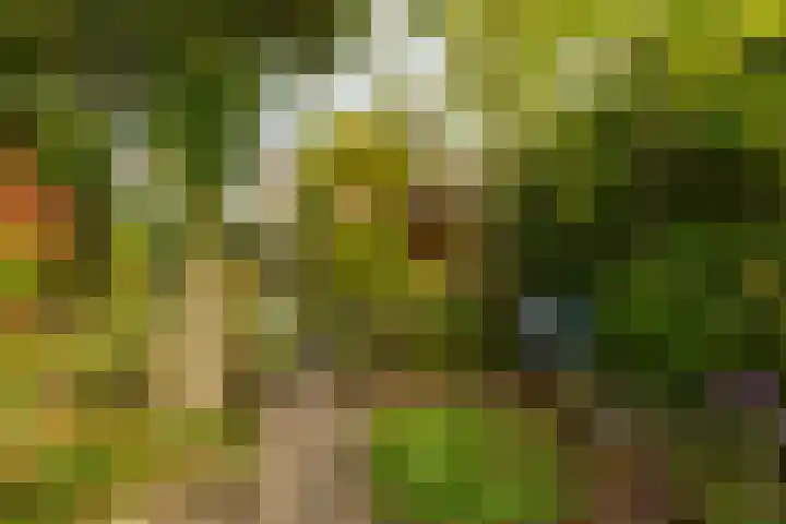 Zilverlaan 50 Groningen thumbnail 29