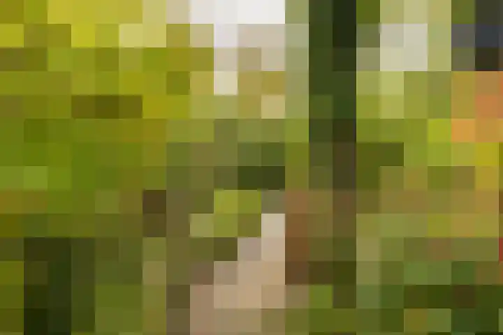 Zilverlaan 50 Groningen thumbnail 30