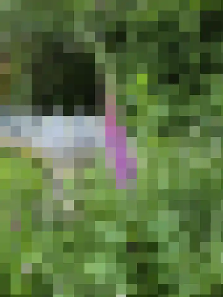 Zilverlaan 50 Groningen thumbnail 31