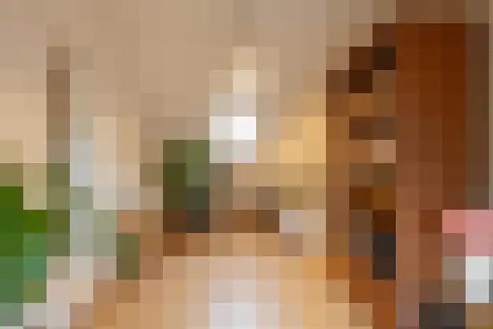 Zilverlaan 50 Groningen thumbnail 42