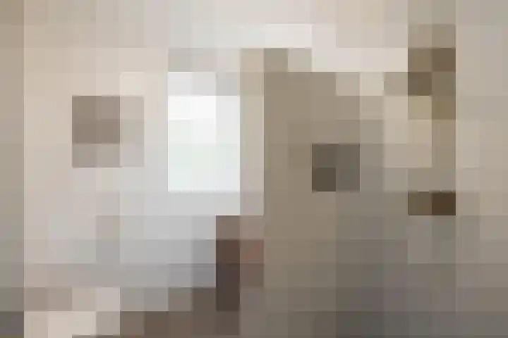 Zilverlaan 50 Groningen thumbnail 44