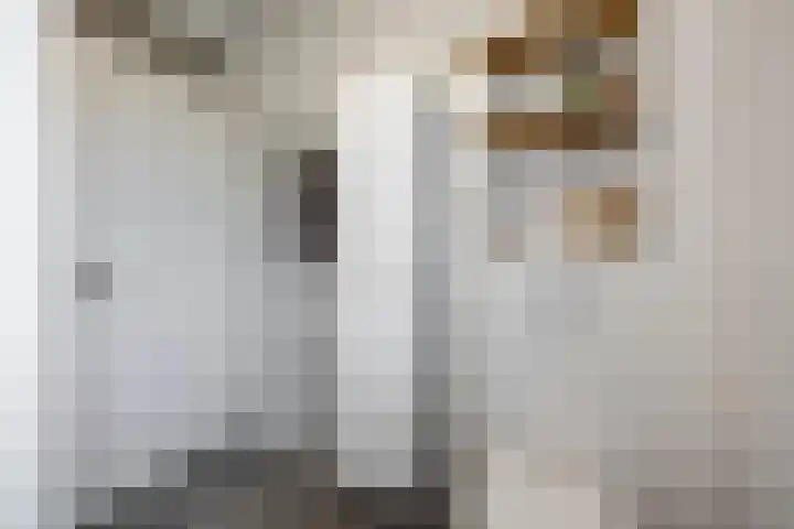 Zilverlaan 50 Groningen thumbnail 47