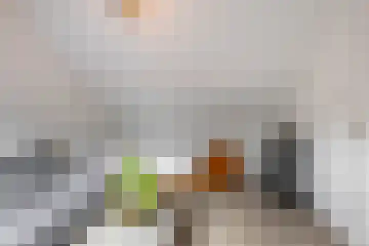 Zilverlaan 50 Groningen thumbnail 52