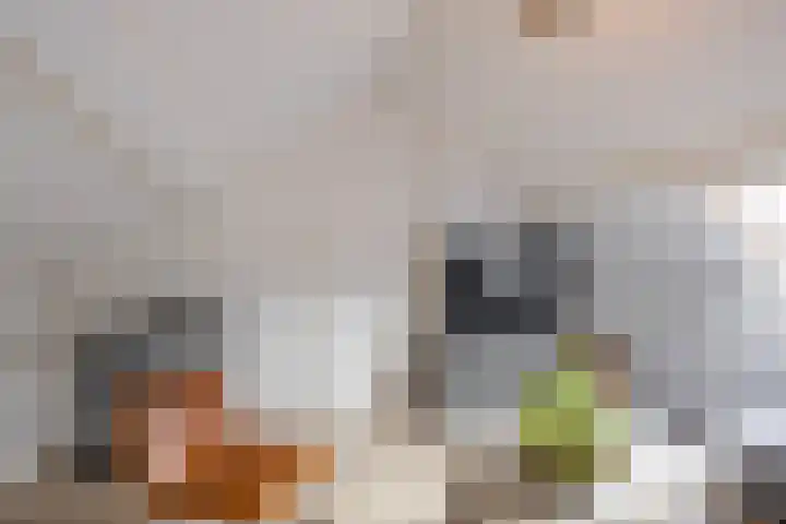 Zilverlaan 50 Groningen thumbnail 53