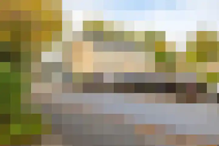 Zilverlaan 50 Groningen thumbnail 54