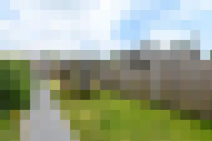 Zilverlaan 52 Wolvega thumbnail 26