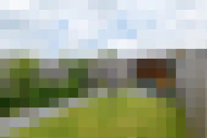 Zilverlaan 52 Wolvega thumbnail 27