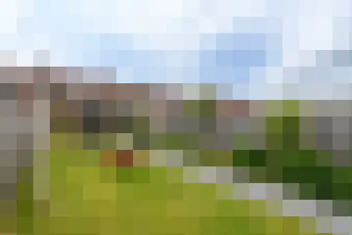 Zilverlaan 52 Wolvega thumbnail 28
