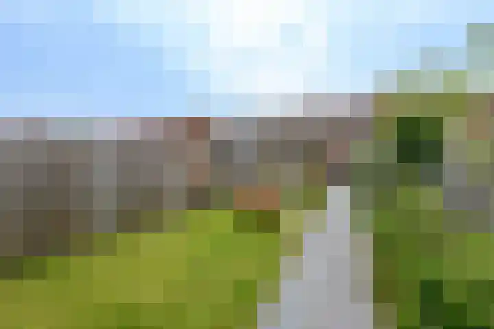 Zilverlaan 52 Wolvega thumbnail 29