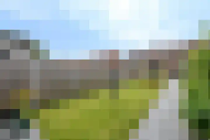 Zilverlaan 52 Wolvega thumbnail 30