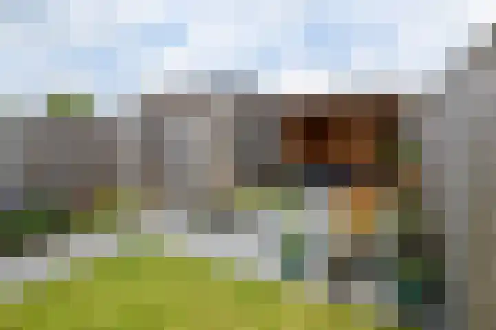 Zilverlaan 52 Wolvega thumbnail 32