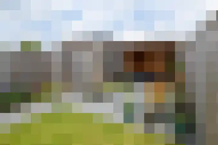 Zilverlaan 52 Wolvega thumbnail 4
