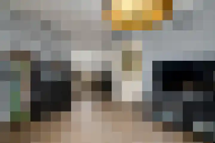 Zilverlaan 52 Wolvega thumbnail 8