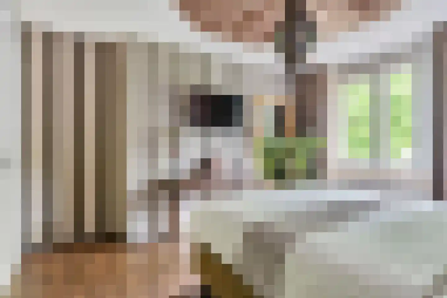 Zilverlinde 38 's-Hertogenbosch thumbnail 18