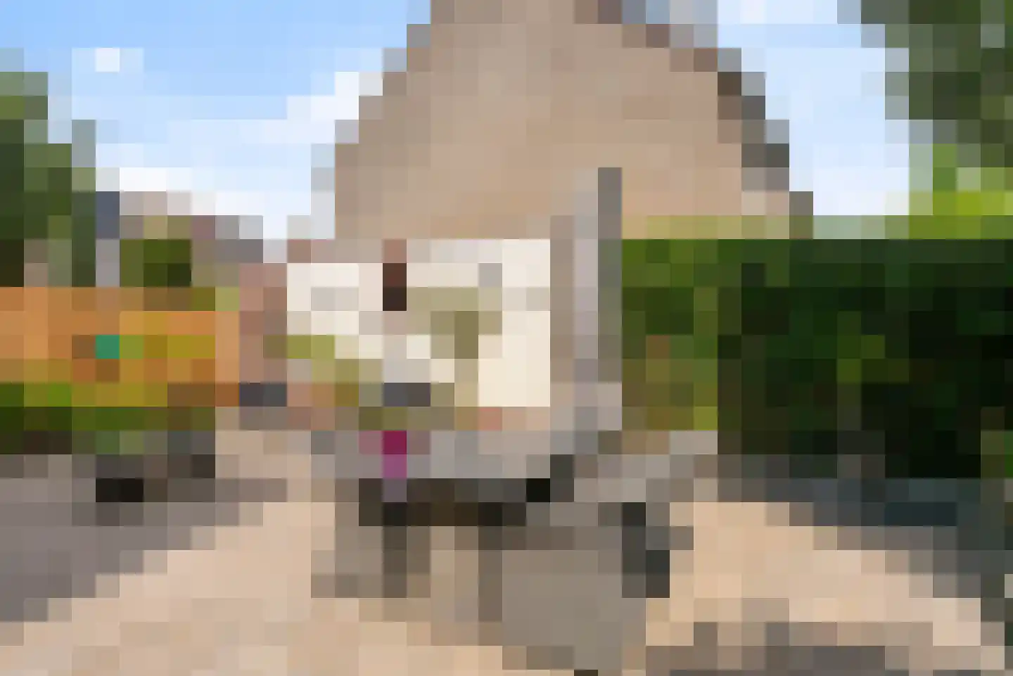 Zilverlinde 38 's-Hertogenbosch thumbnail 27