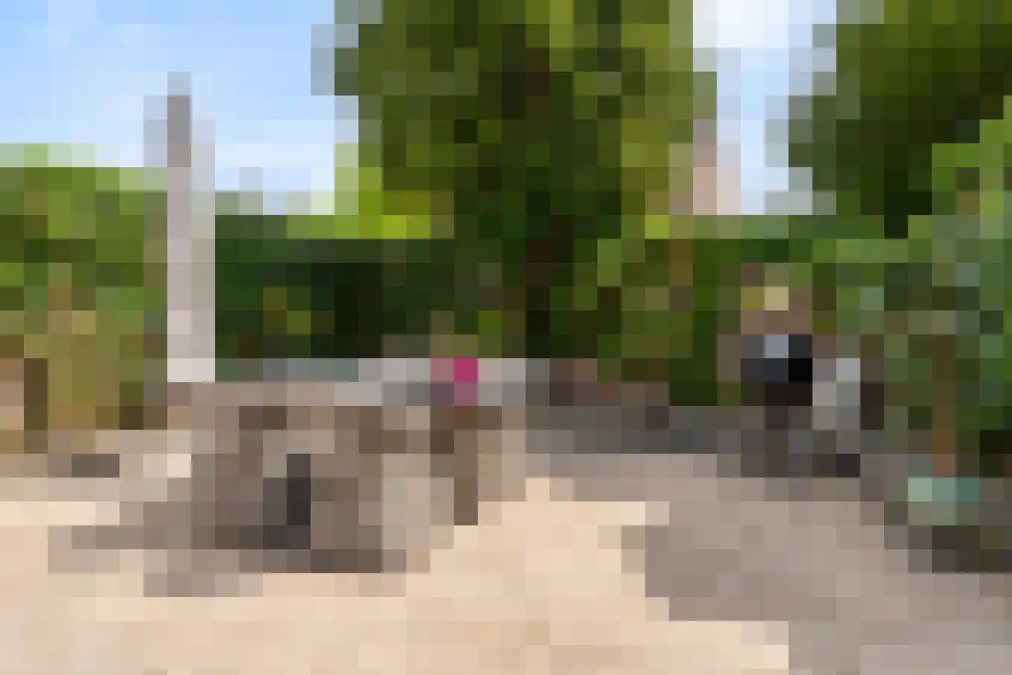 Zilverlinde 38 's-Hertogenbosch thumbnail 28