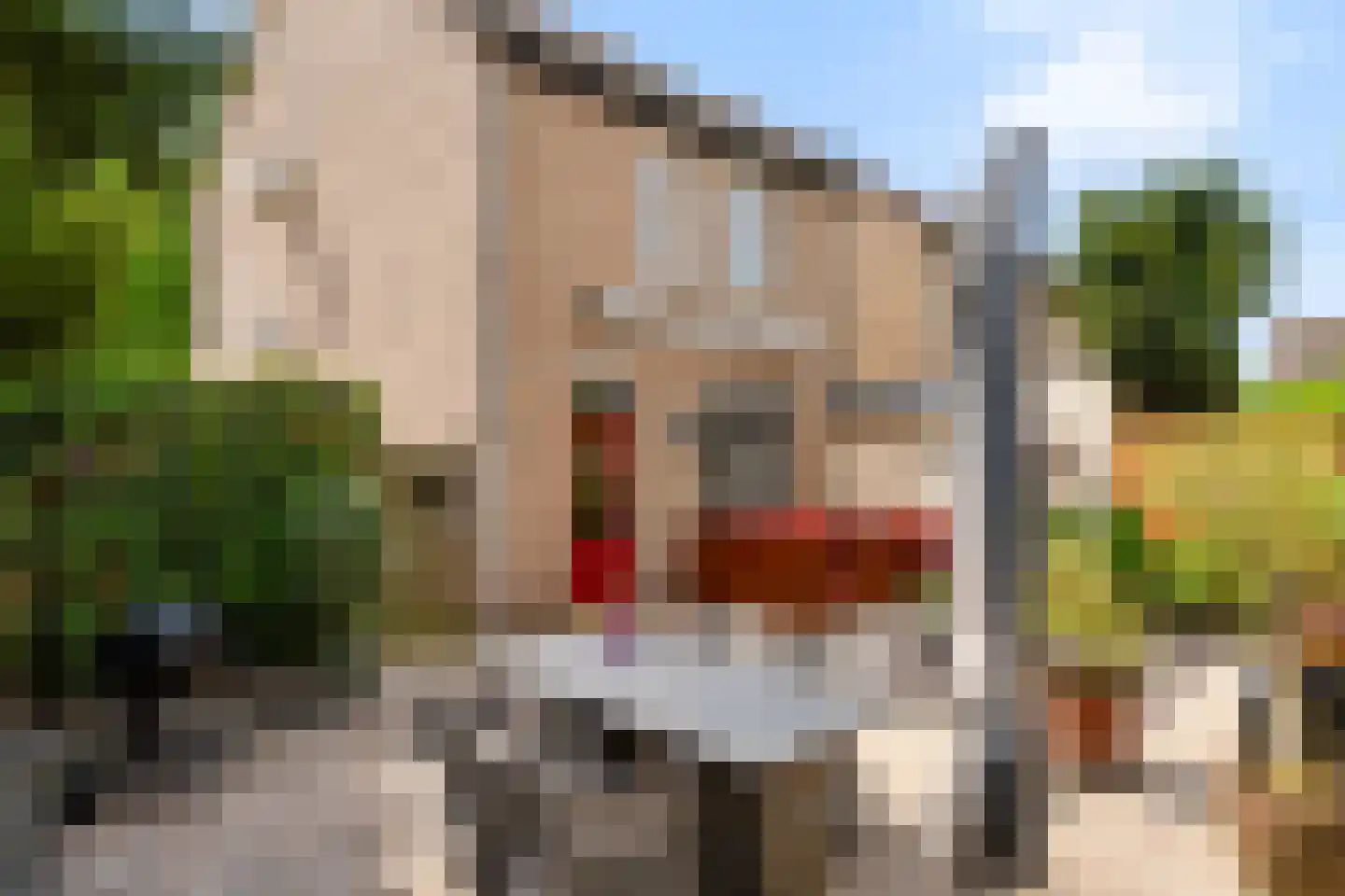 Zilverlinde 38 's-Hertogenbosch thumbnail 30