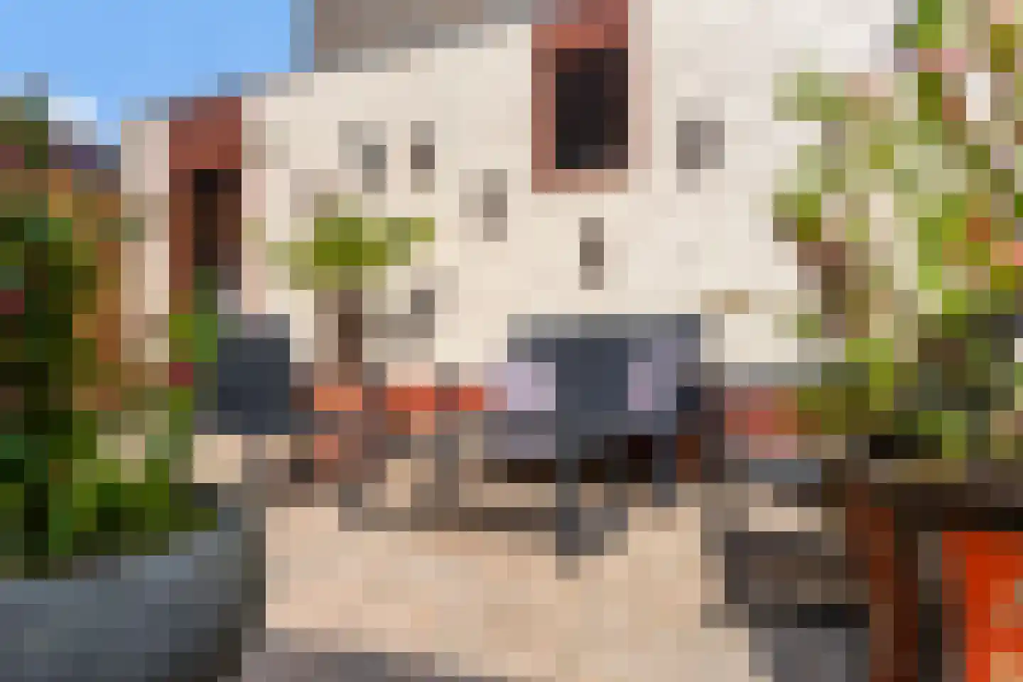 Zilverlinde 38 's-Hertogenbosch thumbnail 31