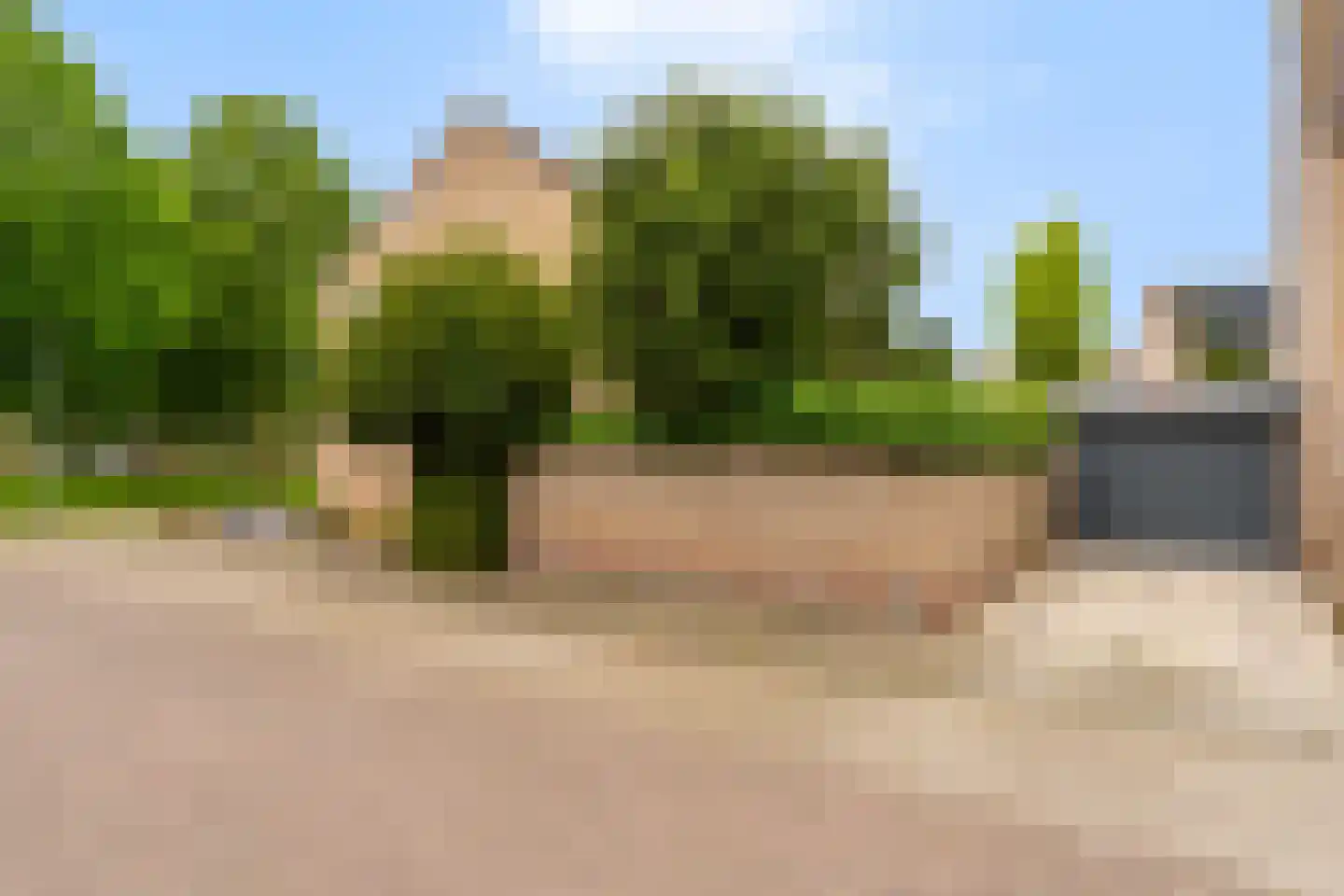 Zilverlinde 38 's-Hertogenbosch thumbnail 34