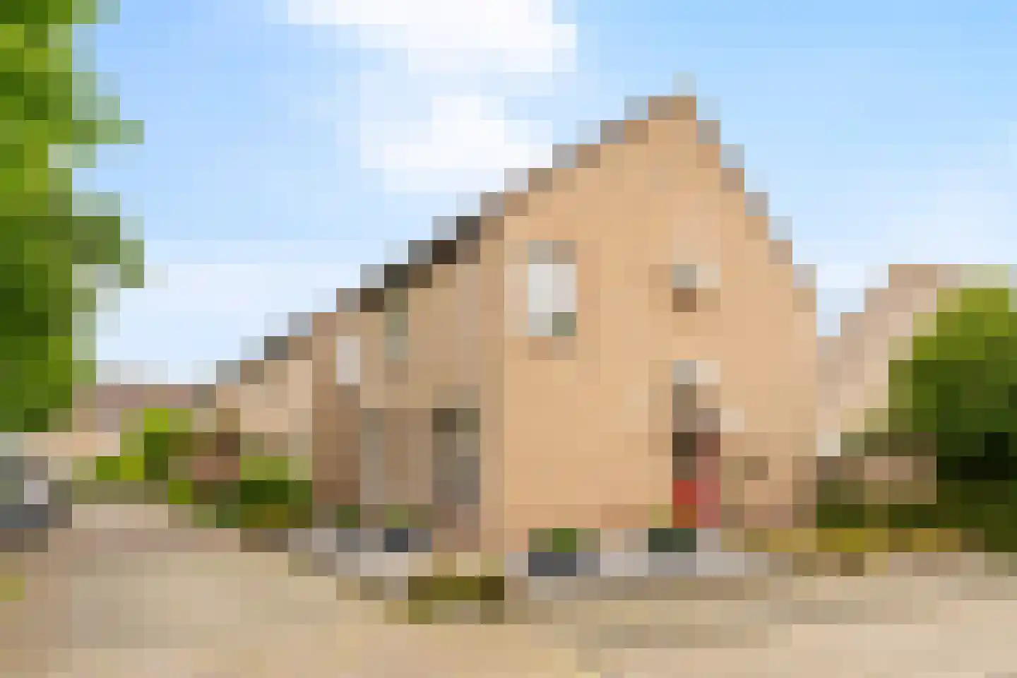 Zilverlinde 38 's-Hertogenbosch thumbnail 37