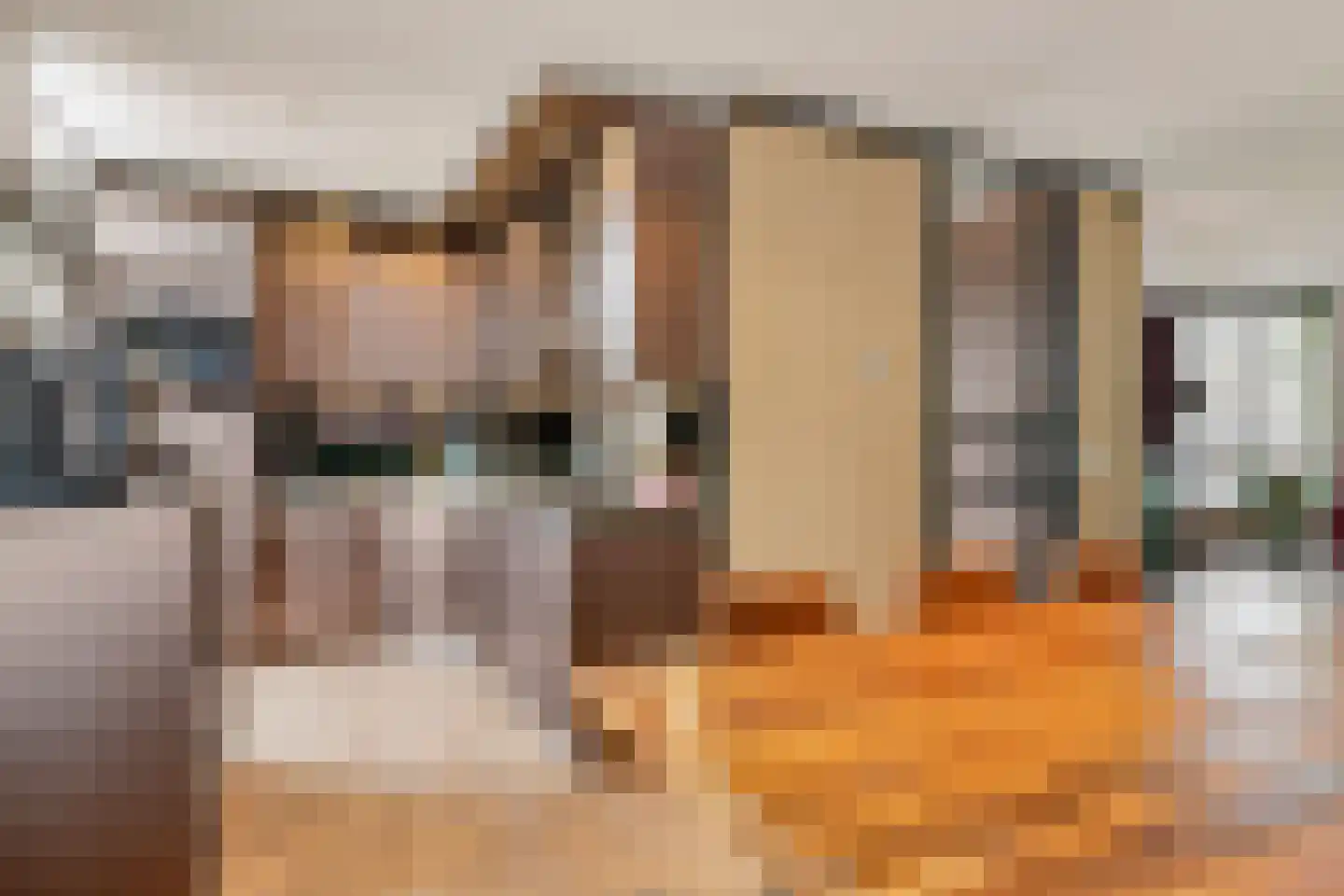 Zilverlinde 38 's-Hertogenbosch thumbnail 9