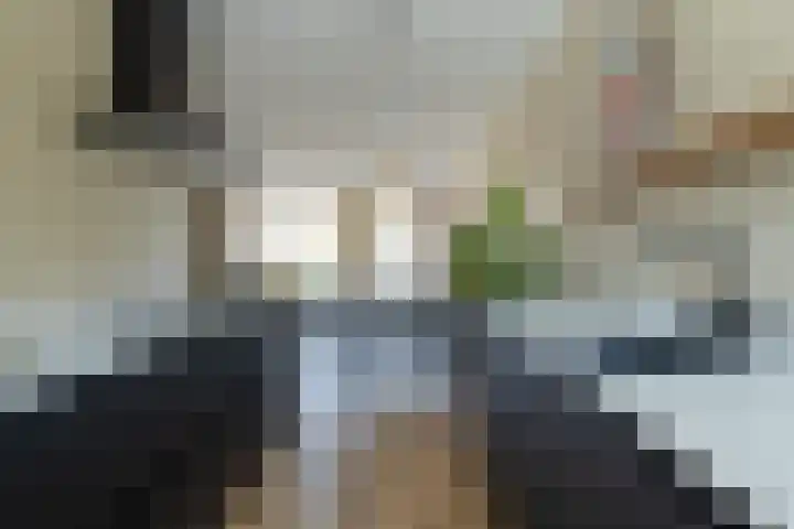 Zilverlinde 6 Kaatsheuvel thumbnail 12