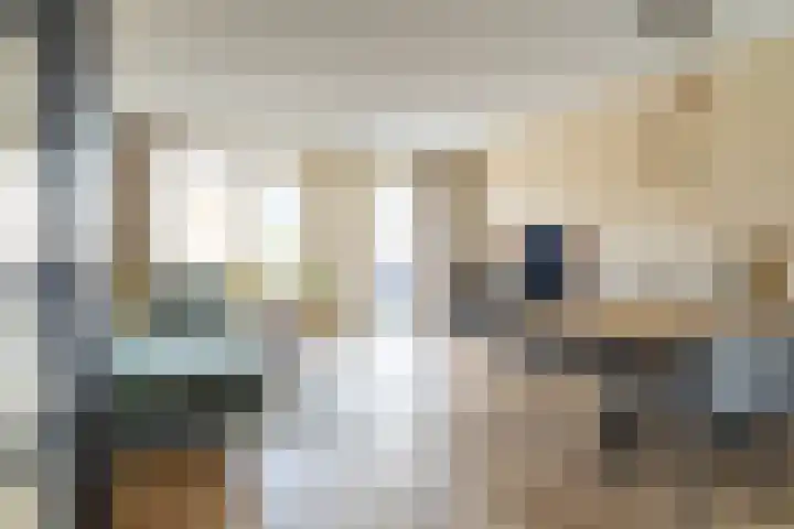 Zilverlinde 6 Kaatsheuvel thumbnail 15