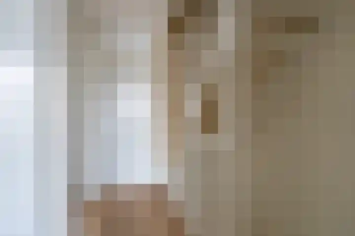 Zilverlinde 6 Kaatsheuvel thumbnail 17