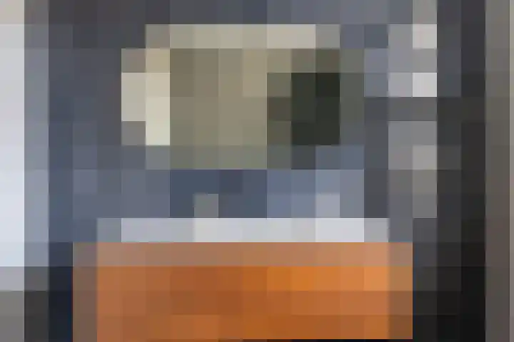Zilverlinde 6 Kaatsheuvel thumbnail 25